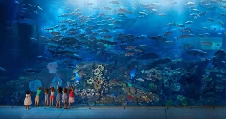 L'Acquario di Dubai Marina