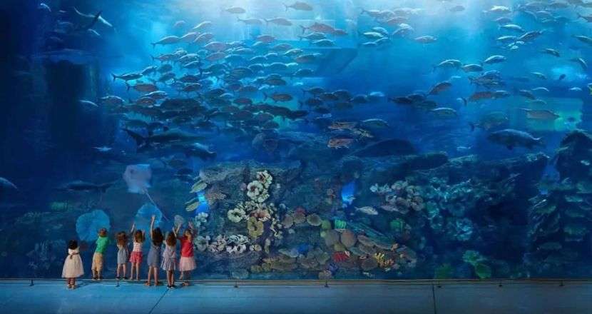 L'Acquario di Dubai Marina