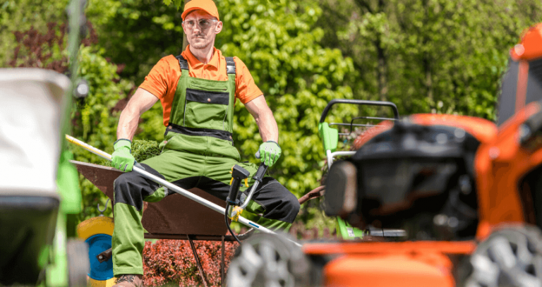 Budget Friendly Lawn Care Companies: What To Look For.