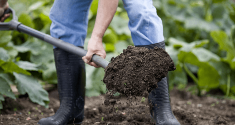 Easy tips to make your house more sustainable