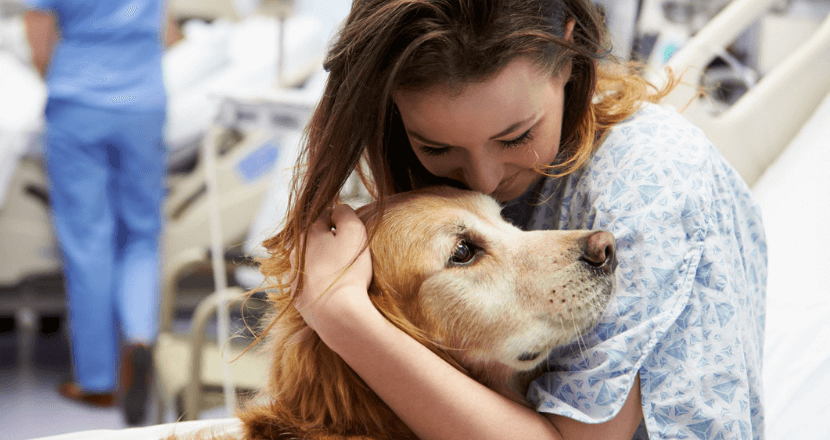 How Dog Therapy Helps With Anxiety