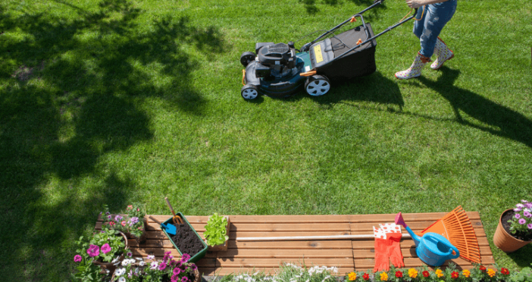 5 Ideen zur Vorbereitung Ihres Gartens auf den Sommer