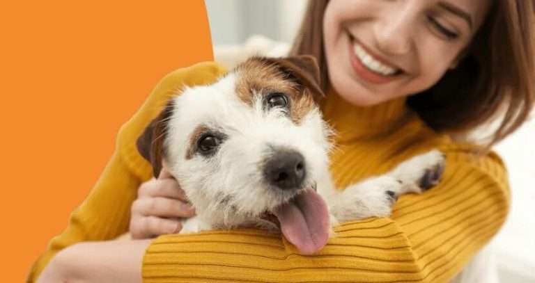 Discover why you need pet insurance for your dog