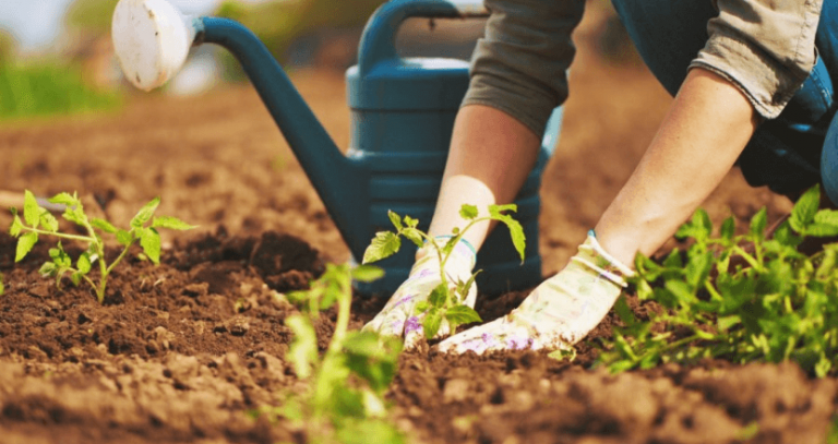 Eco sustainable Living: is it possible?