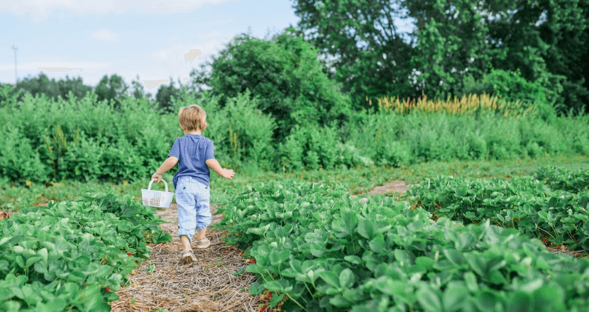 Is Self Sufficient Living Possible nowadays