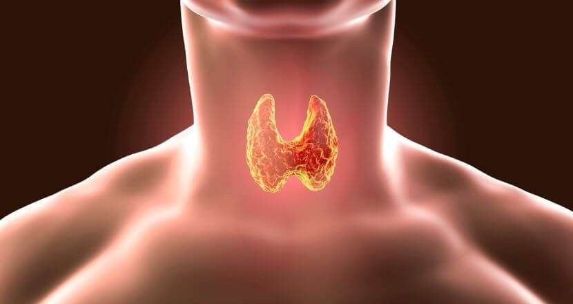 7 Worst Foods For Thyroid Disease