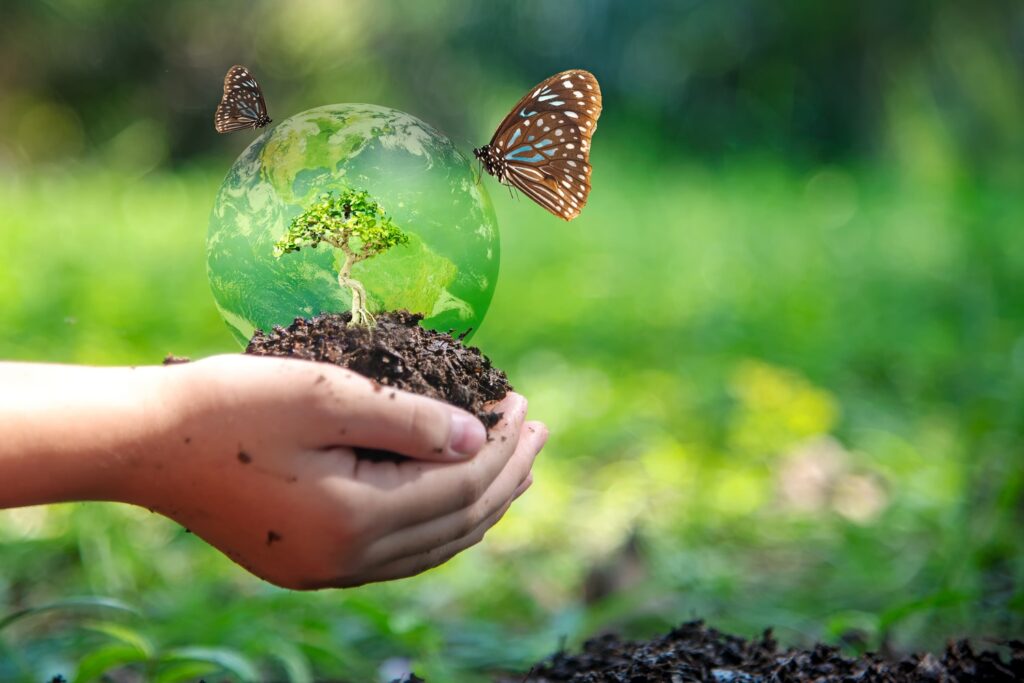 biodiversity