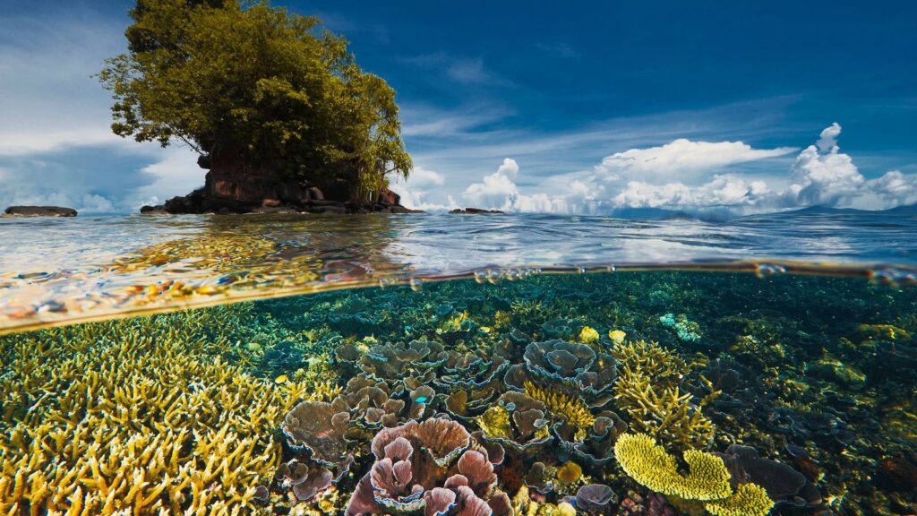 biodiversity