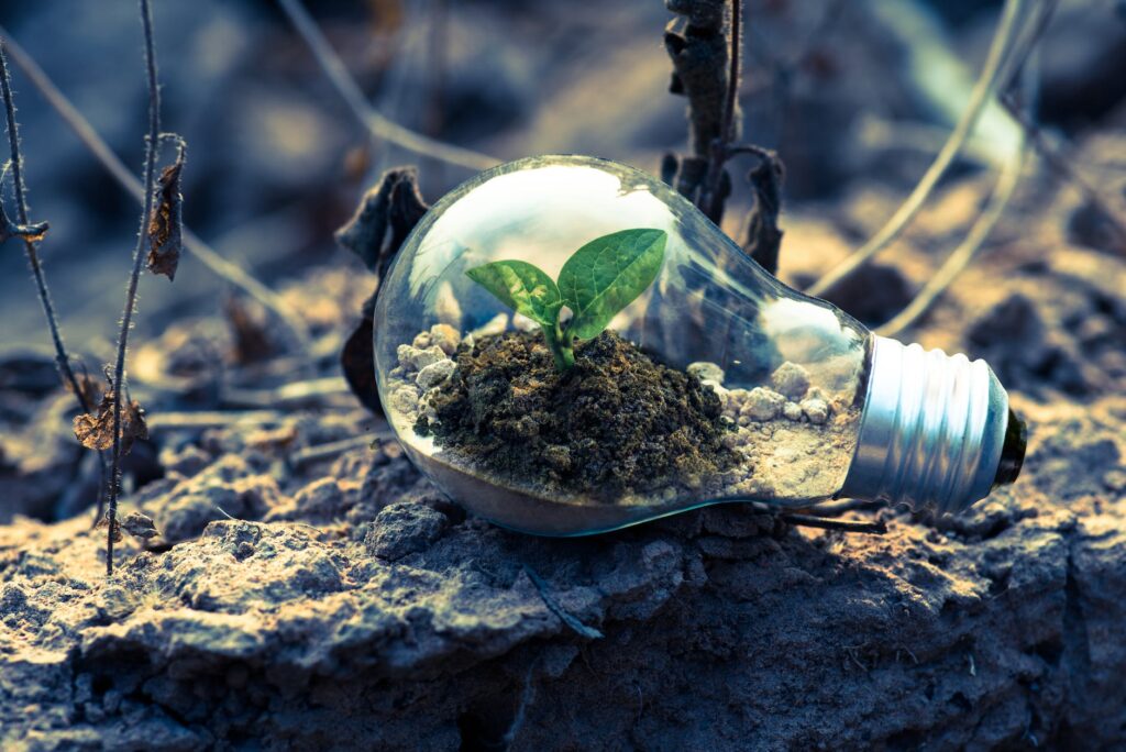 biodiversità