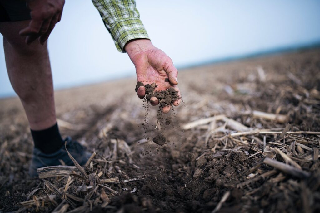 carbon-farming
