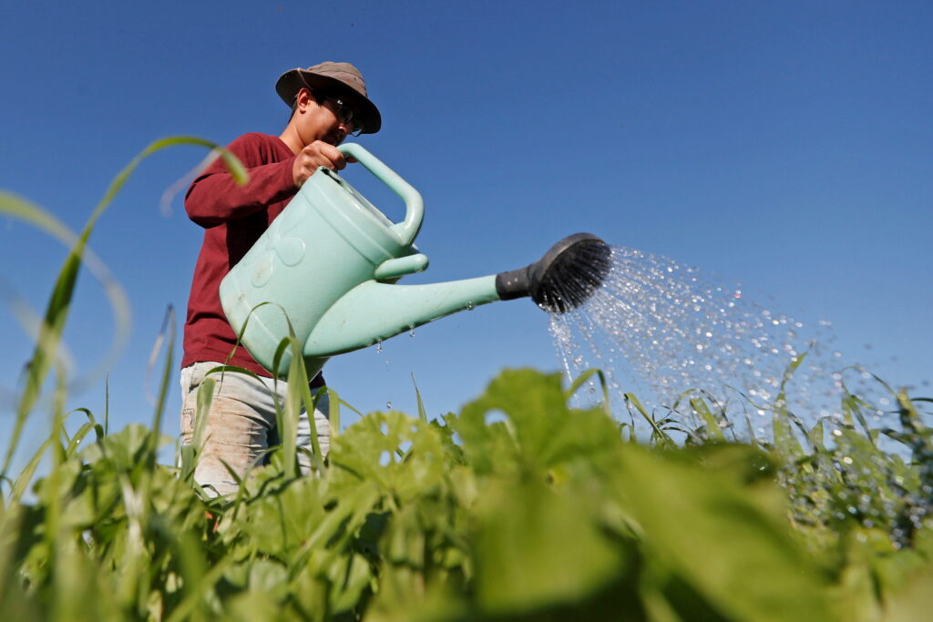 carbon-farming