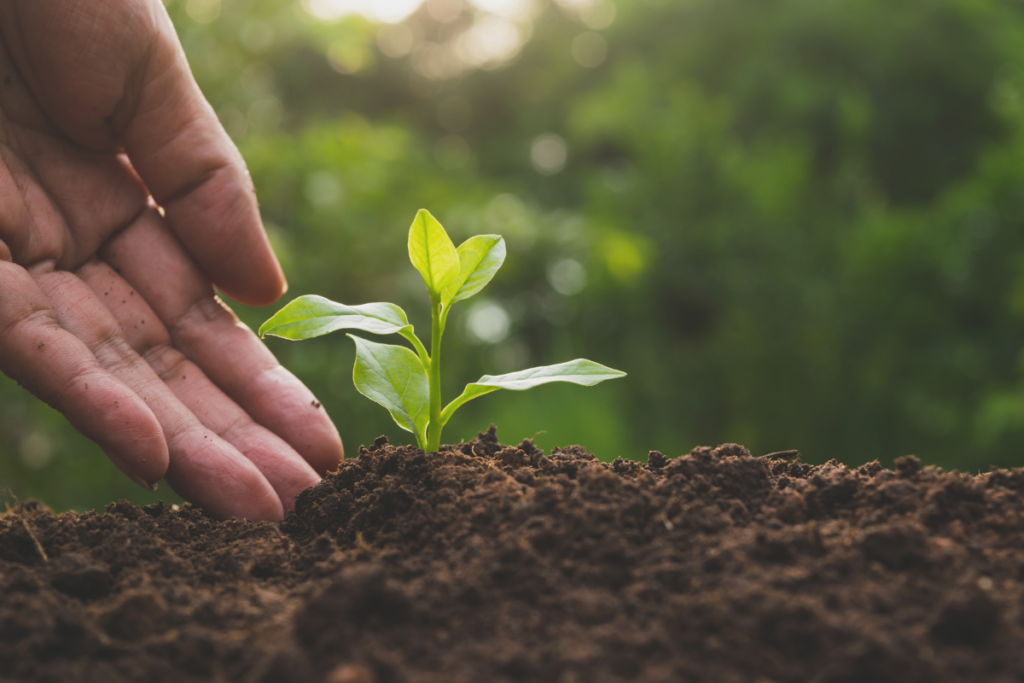 carbon-farming