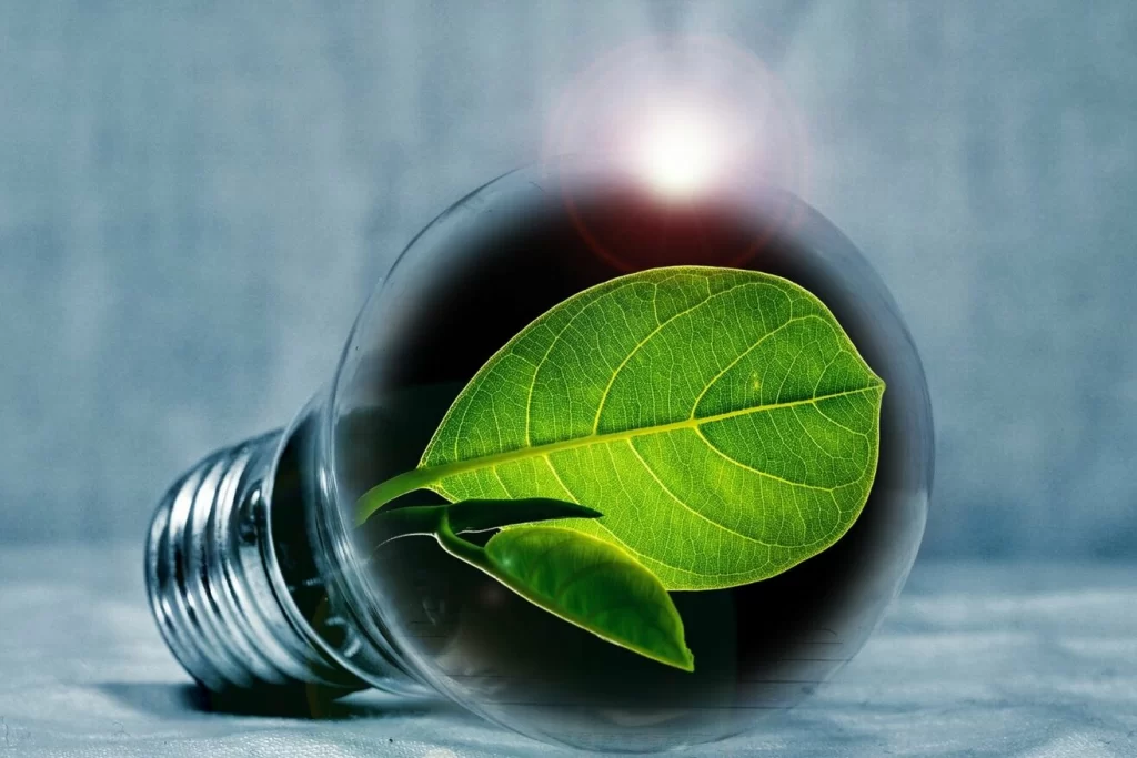 green-hydrogen