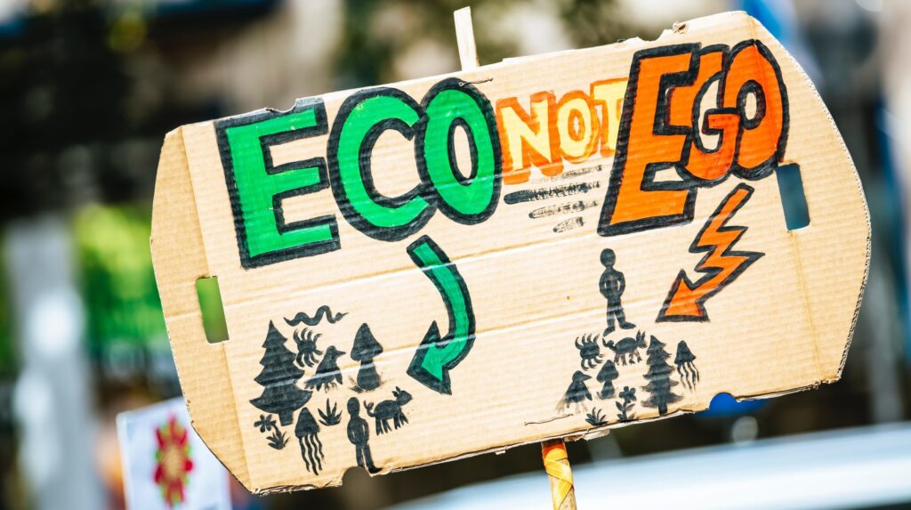 greenwashing