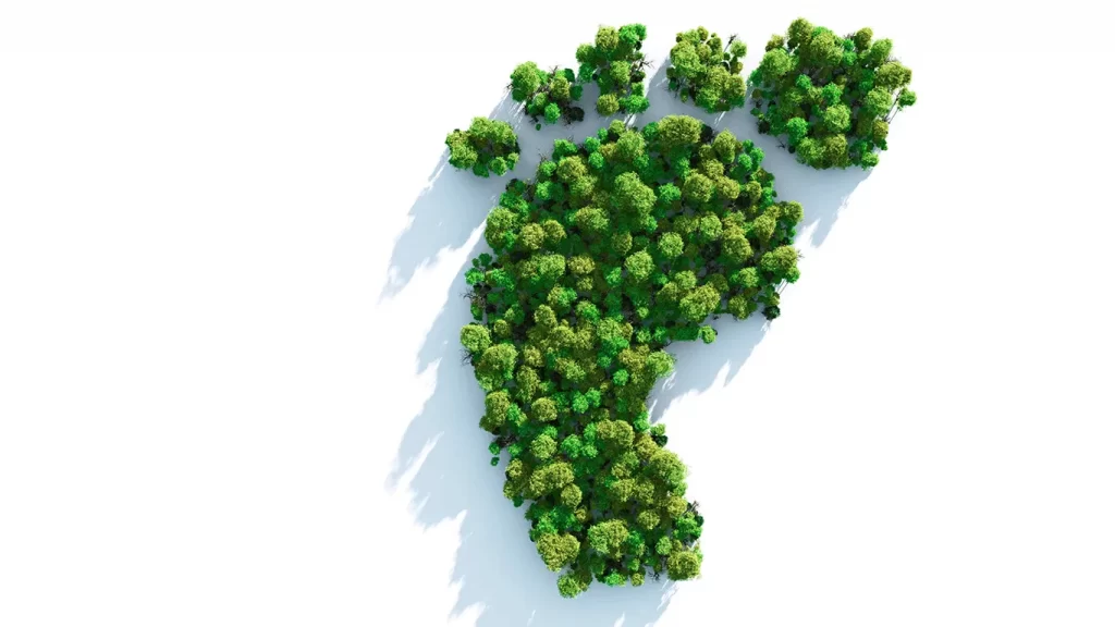 carbon-neutrality