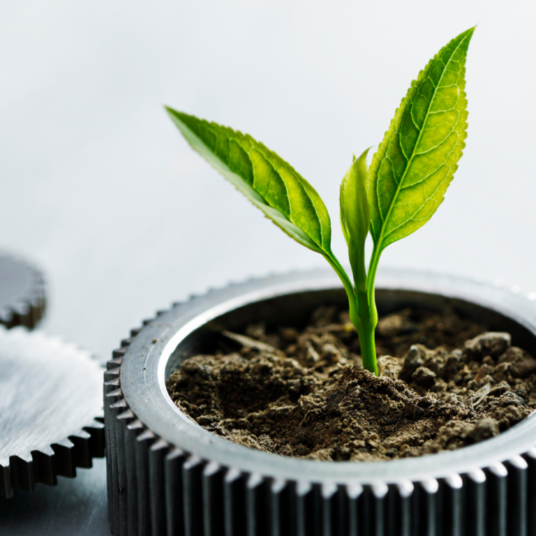 sustainability