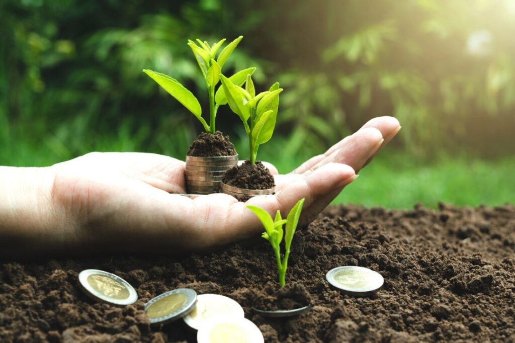 sustainability
