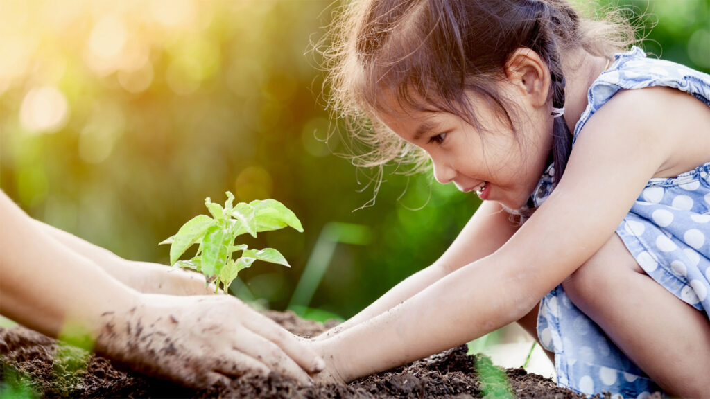 sustainability