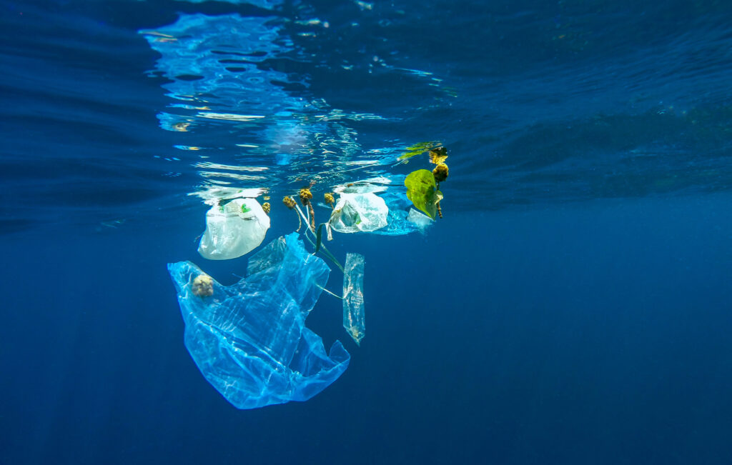 quantiko_plastica